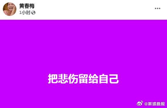 【#S妈连发三条动态##S妈发文把悲伤留给自己#】2月11日凌晨，大S去世的第十