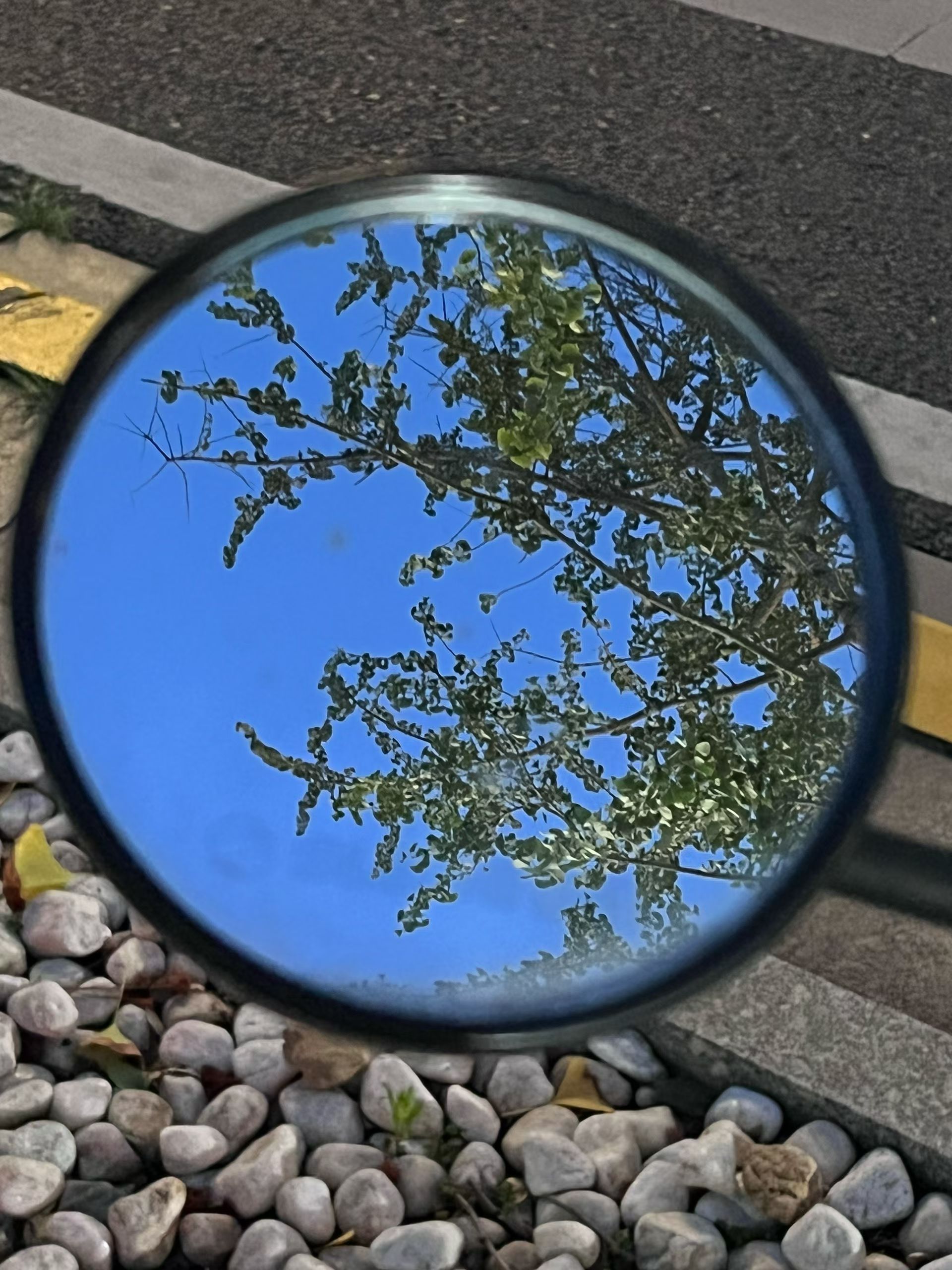 蒸糕包 蒸糕包朱古力加波板糖 点会得包想问大家圣诞怎么过呀 