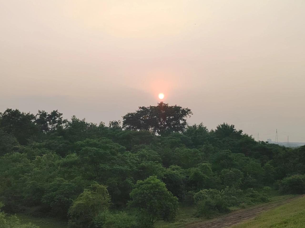 在锦江南岸小跑一阵后，骑车回家时又行经北岸的一片湿地，遂在此短暂停留做了一会放松