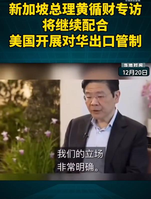 新加坡总理突然对华翻脸，严查芯片转运。很多人以为这是为了讨好美国。错了！真相是：