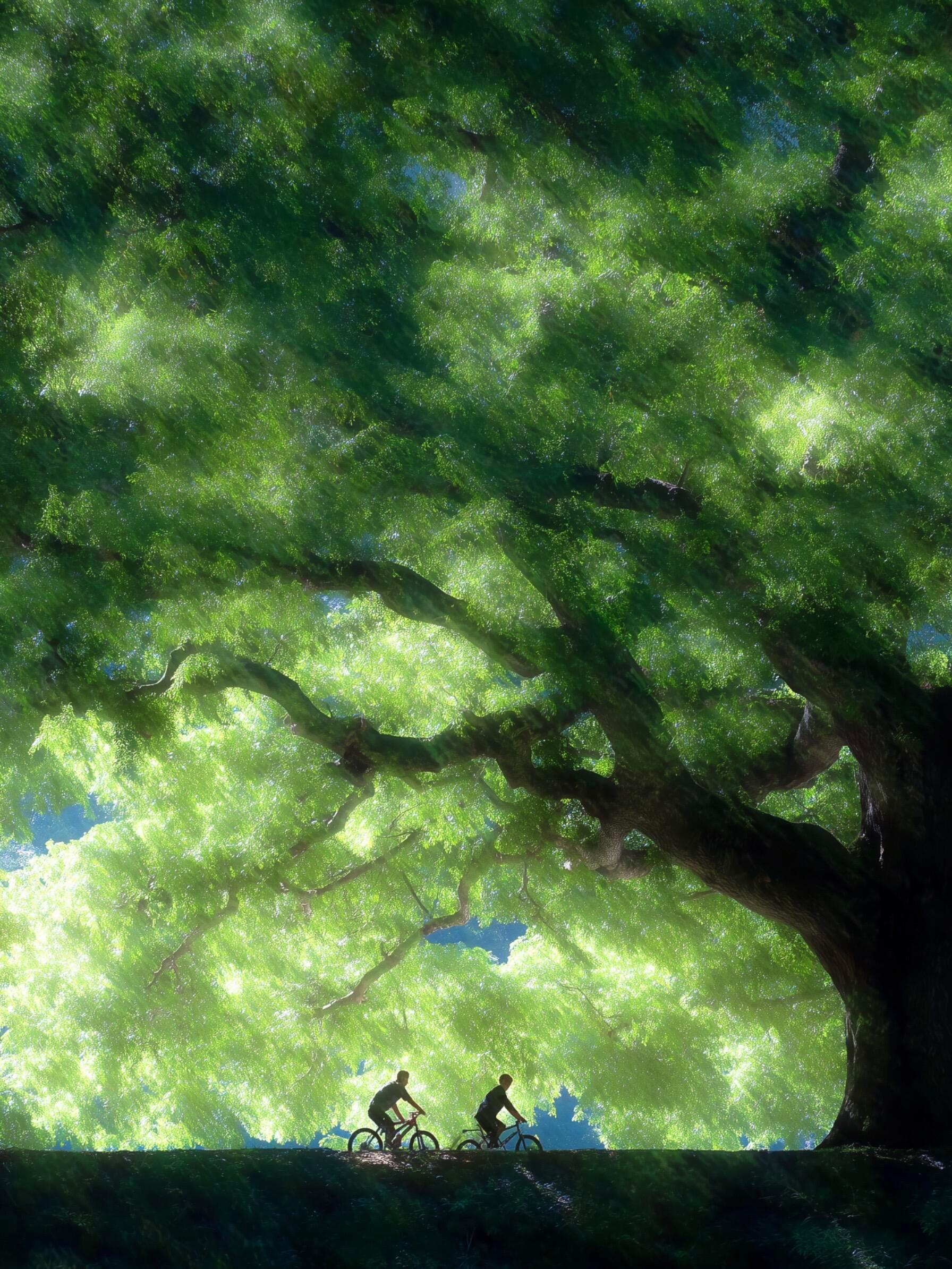 盛夏光年