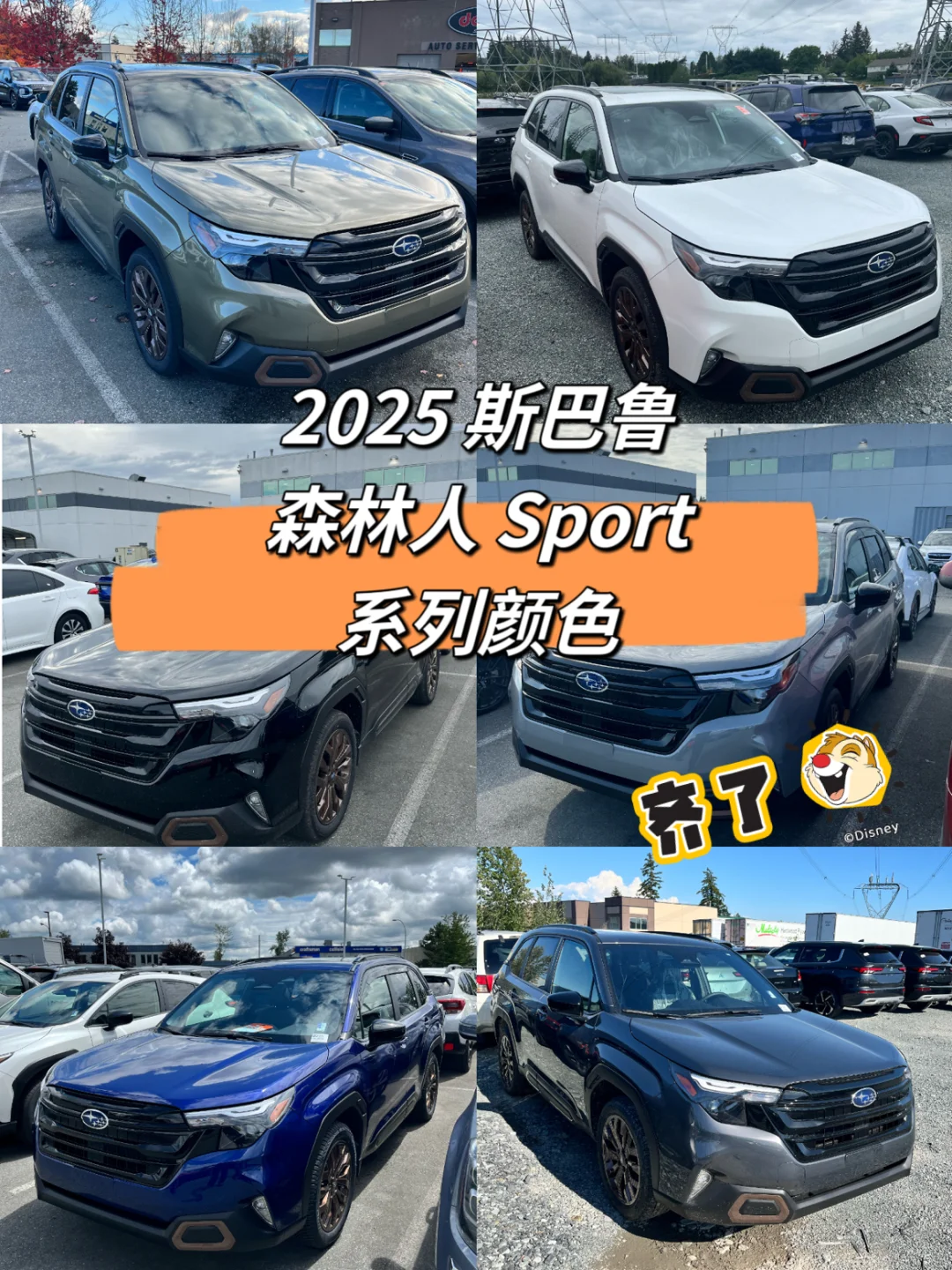 六福临门 2025 森林人 Sport 颜色合集