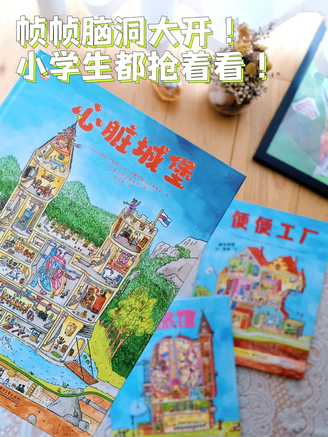 每一页都是艺术的科普书❗️真的第一次见？！