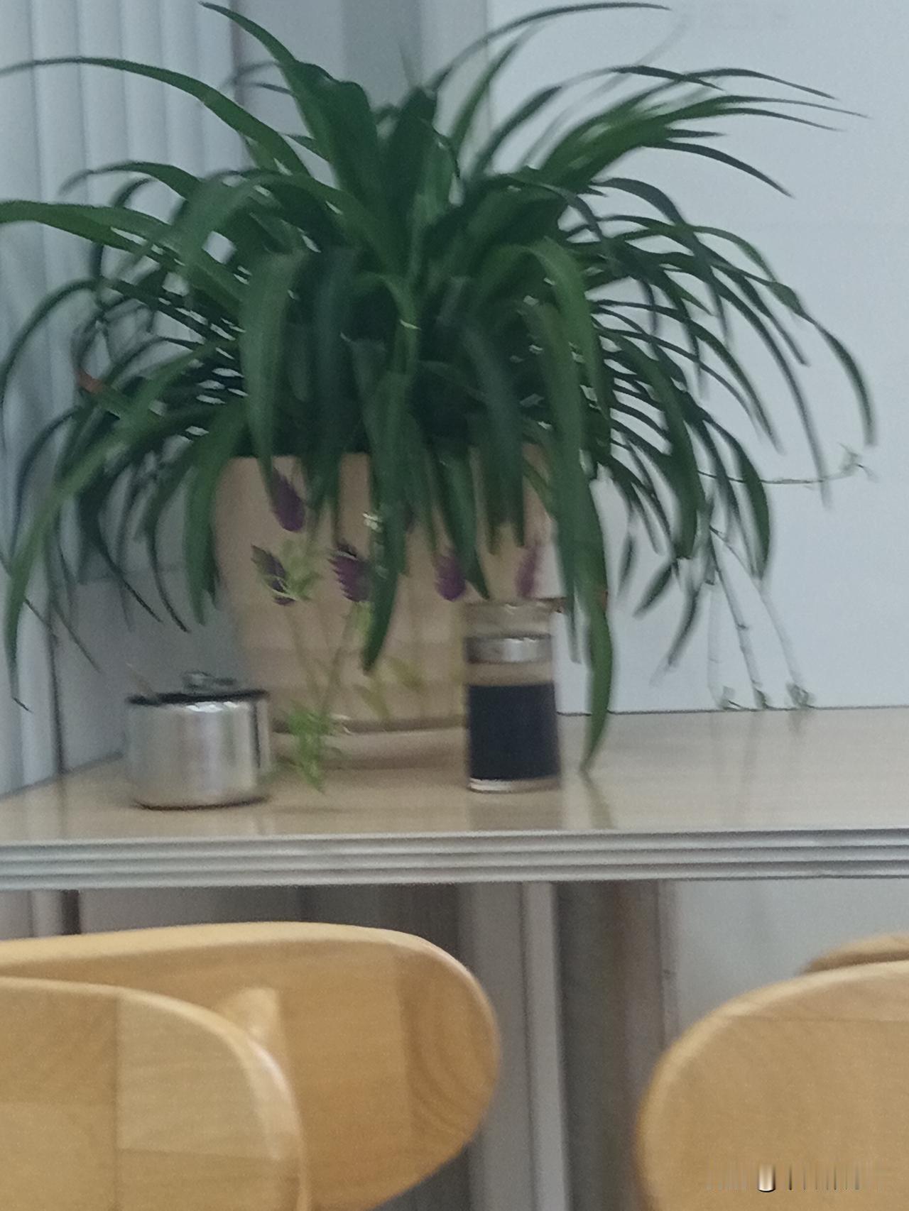 在单位上班，平庸才是最大的聪明！

在单位，不需要能力出众，也不需要搞好关系！其