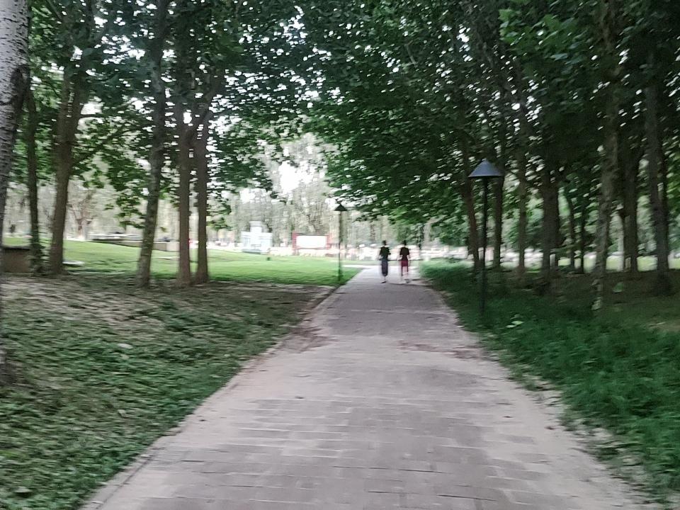 漫步林间小径，感受大自然的宁静与美好。