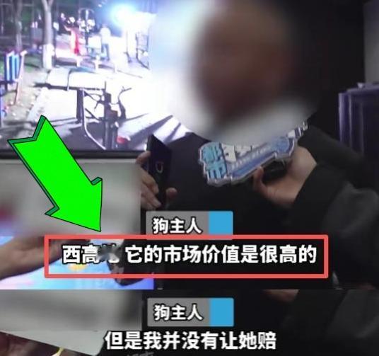 4月29日报道，河南郑州一对夫妻深夜在小区内悠闲遛弯，途中突然有两条未牵绳的犬只