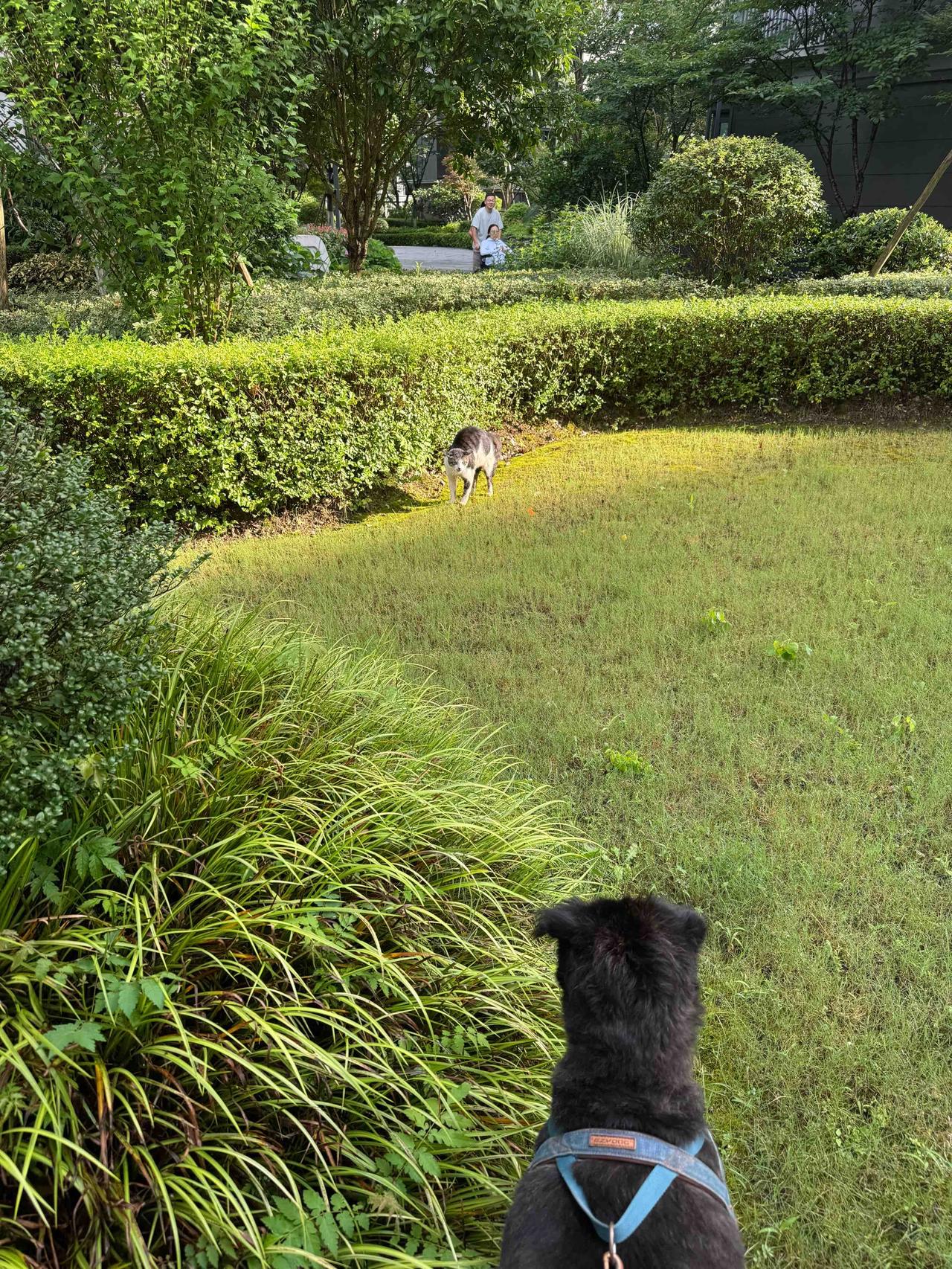 随手拍张图，分享美好瞬间