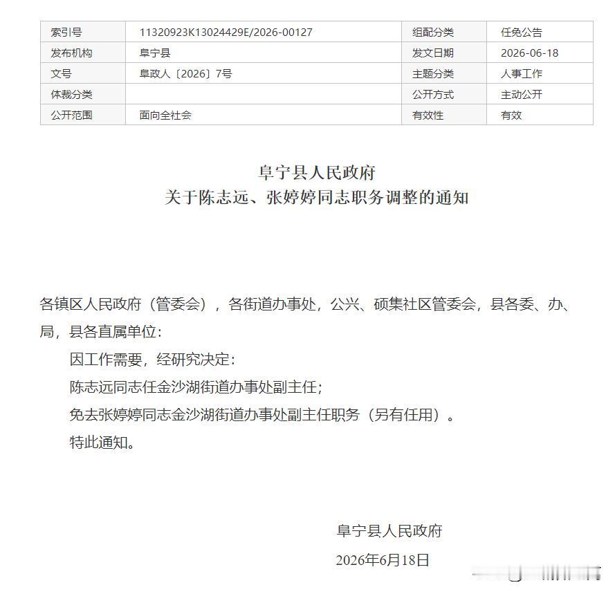 阜宁县人事调整，因工作需要，任命陈志远为金沙湖街道办事处副主任，免去张婷婷该街道