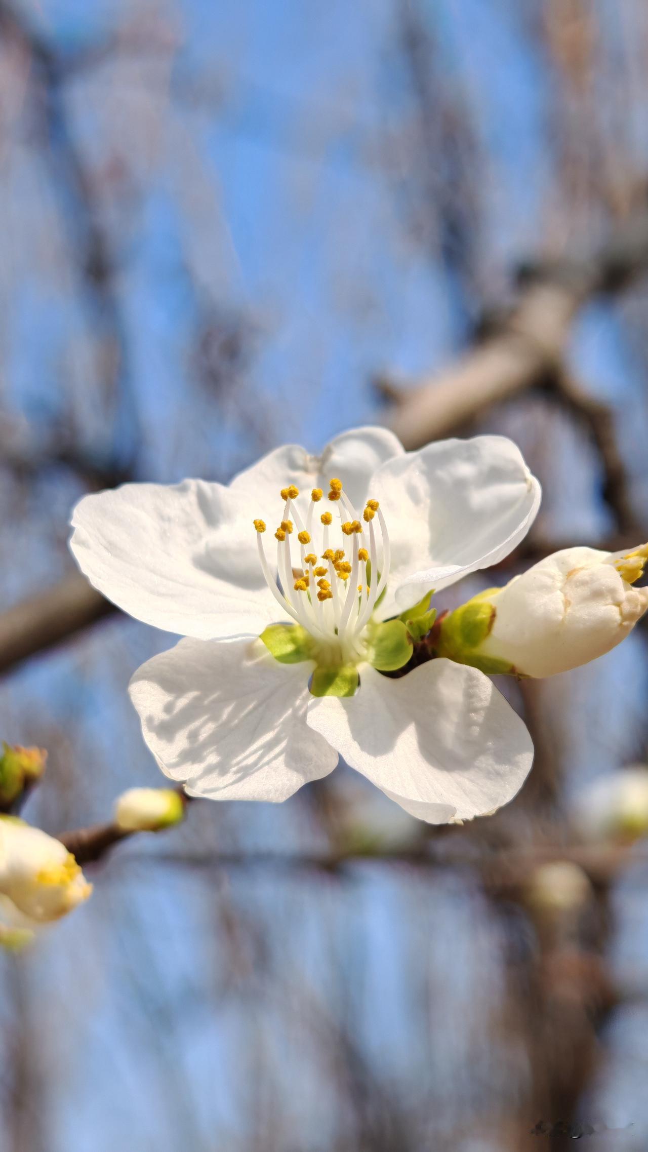 这样的女人才是世界上最幸福的人

生理上能把男人喂饱的女人

饭桌上能把男人照顾