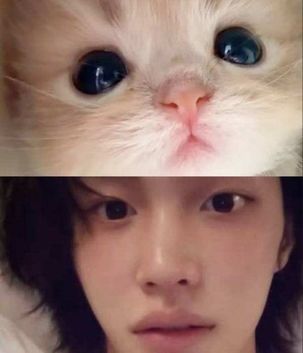 【】脸蛋粉粉的那里也粉粉的 （cr.🍠lwapwb）