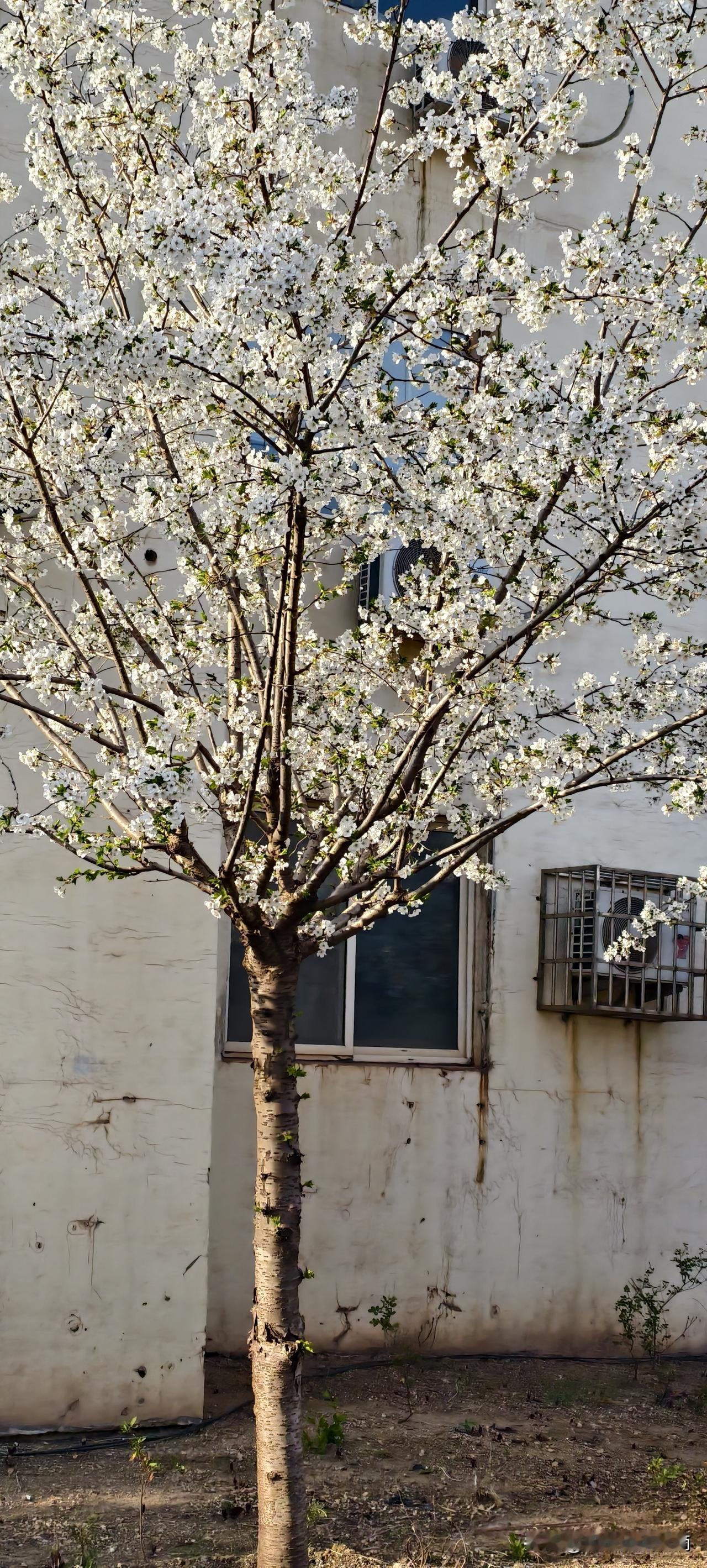 在职场混了10年才明白：那些让你痛苦得想辞职的瞬间，才是你翻盘的开始。

老铁，