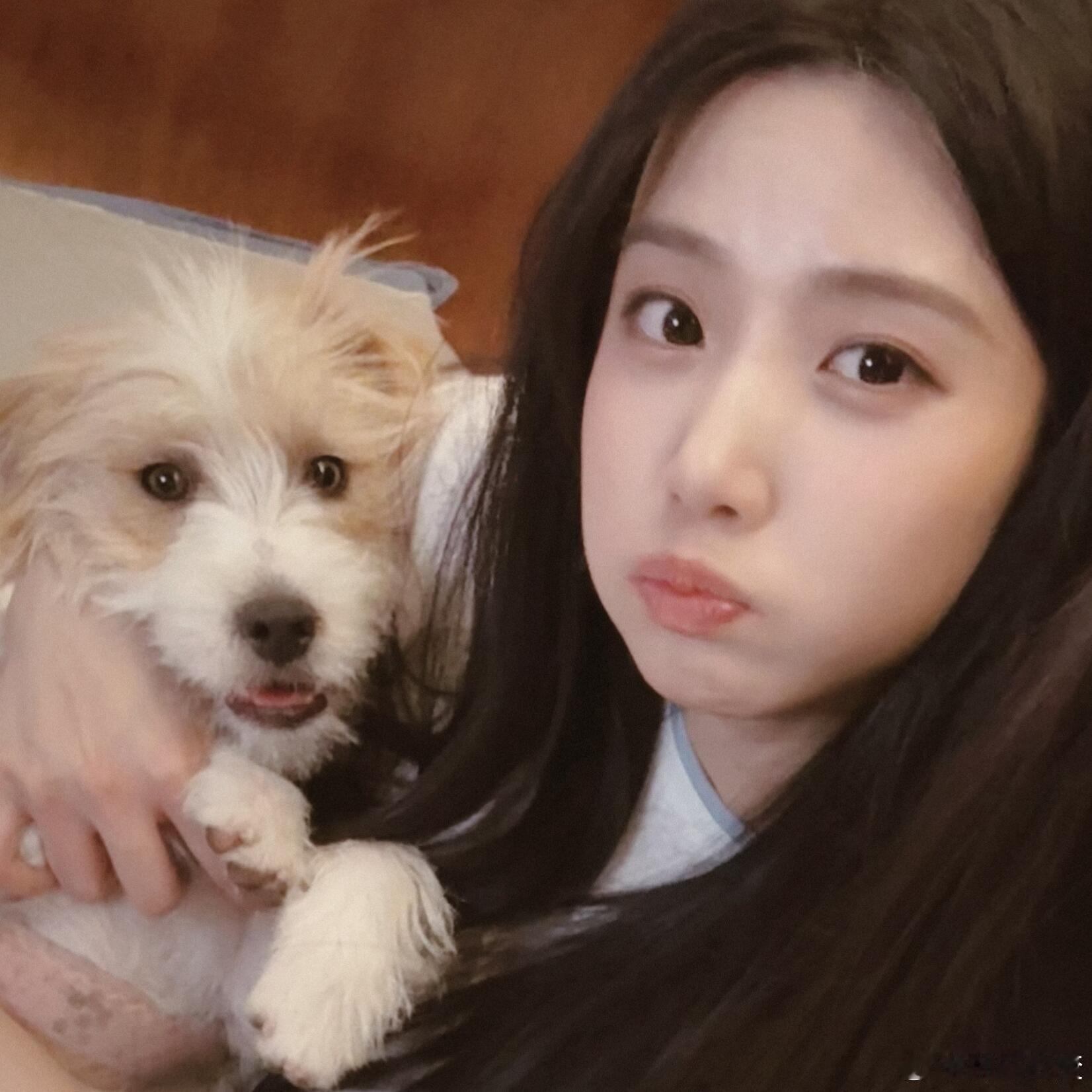 卢昱晓[超话]  卢昱晓小动物头像🐾卢昱晓｜ ​​​