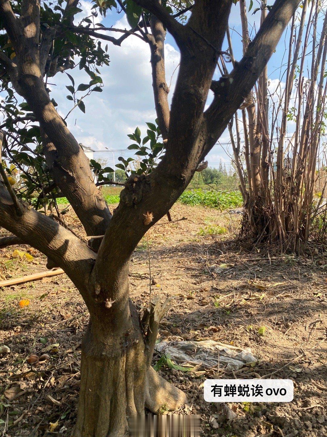 ʚ ˃ ᵕ ˂ ɞ ​​​