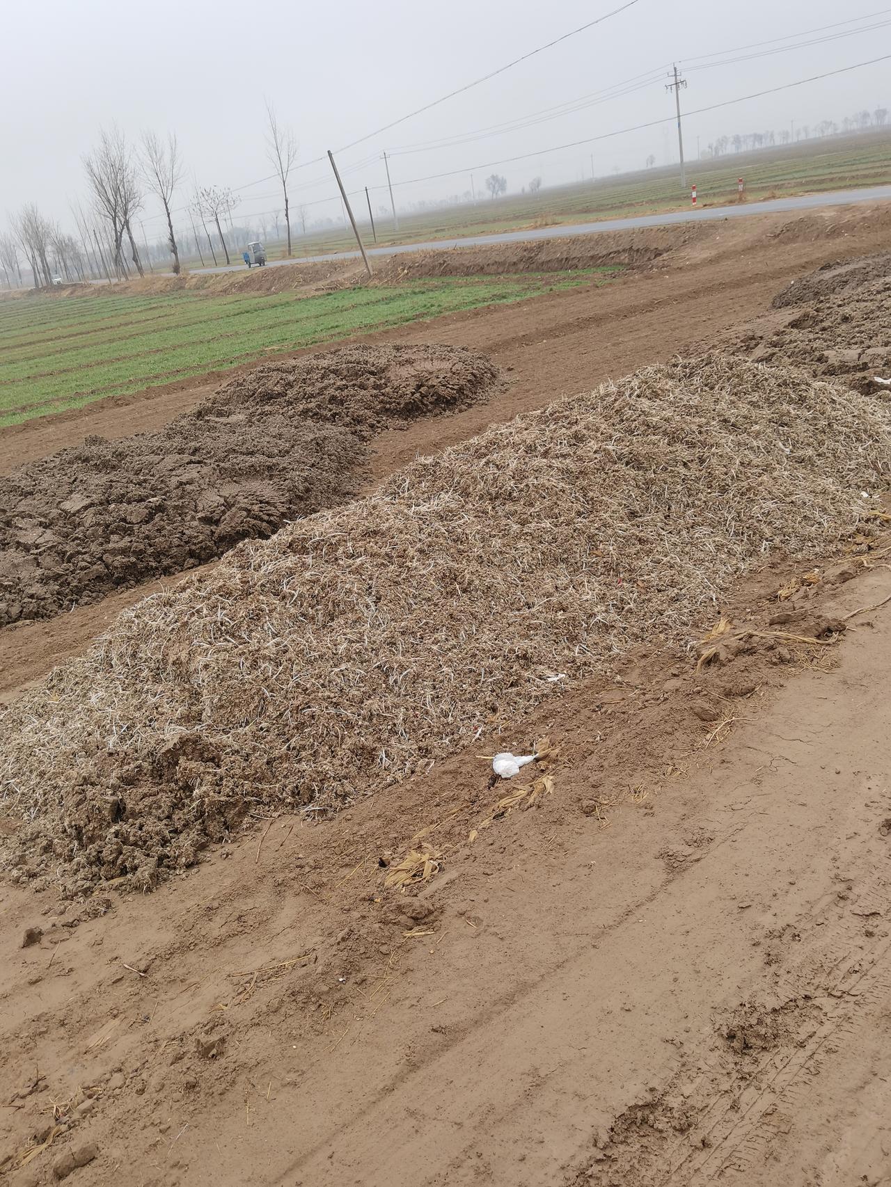 这篇文章深深地说到了农民的心里，说实在话，现在很多那个年代的农民年事已高，在我们