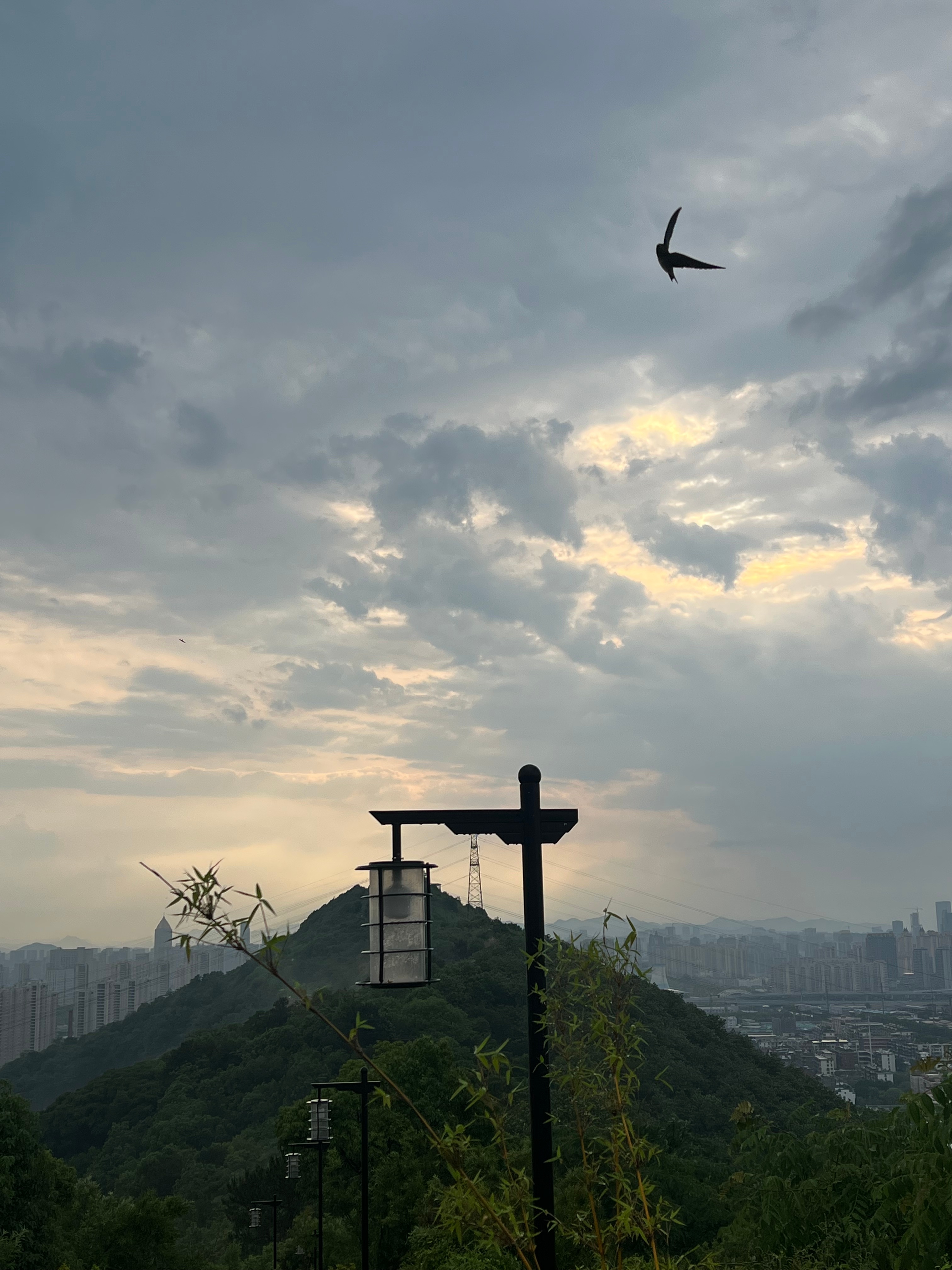 雨天进山，淋成落汤鸡，快乐吸氧的一天[微风] ​​​