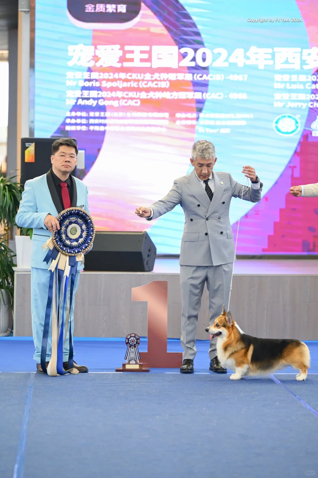 西安第二天：柯基犬Tiger 获得open组全场总冠军第一名BIS1?...
