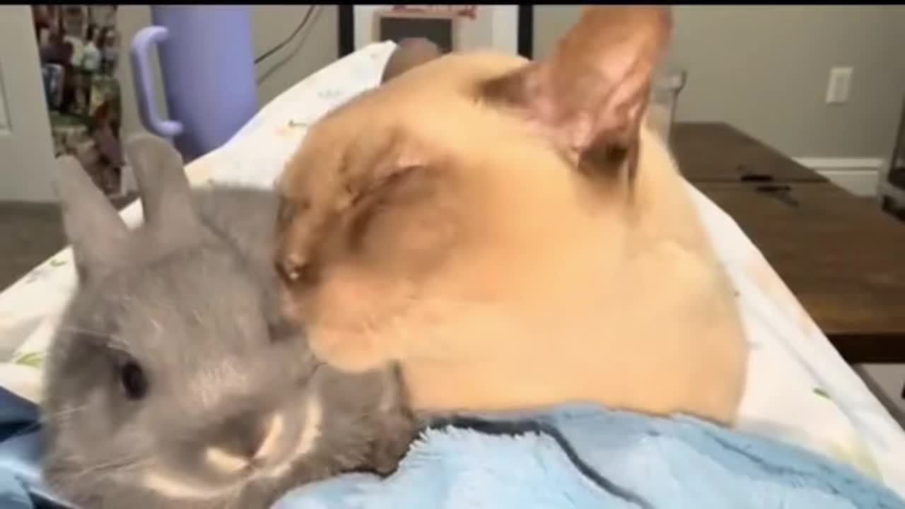 差点给一口吞咯
