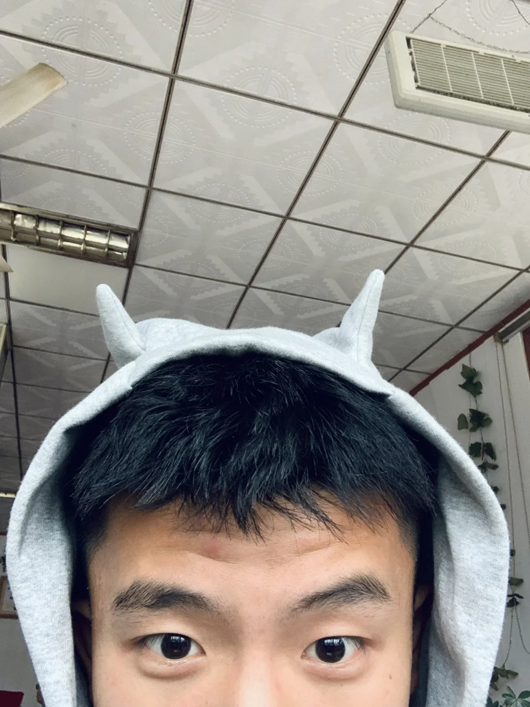 痞帅还是可爱