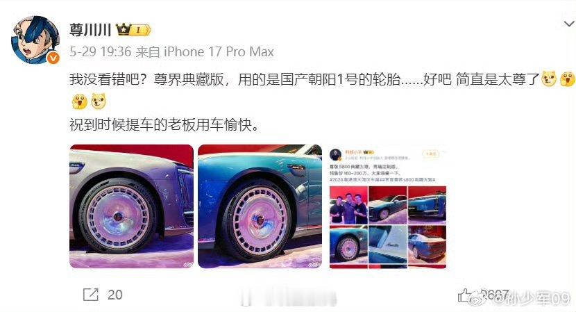 尊界S800典藏版用国产朝阳1号轮胎。真没必要嘲讽，别说轮胎了，尊界也是国产的，