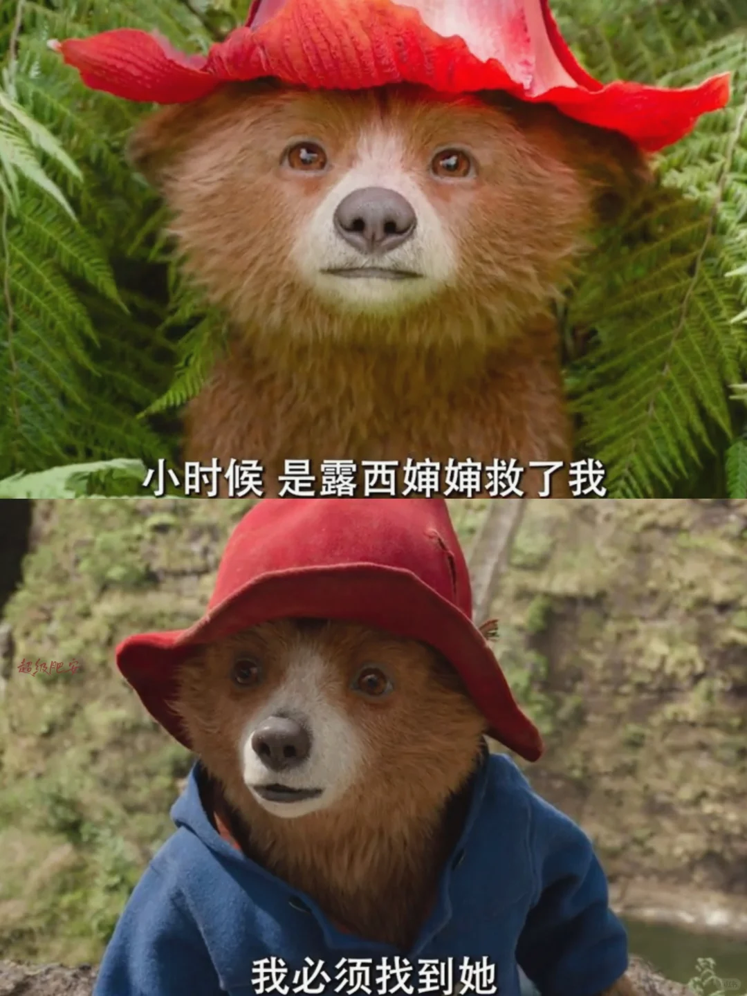 你的冬日小熊🐻回来陪你温暖过冬啦❄️