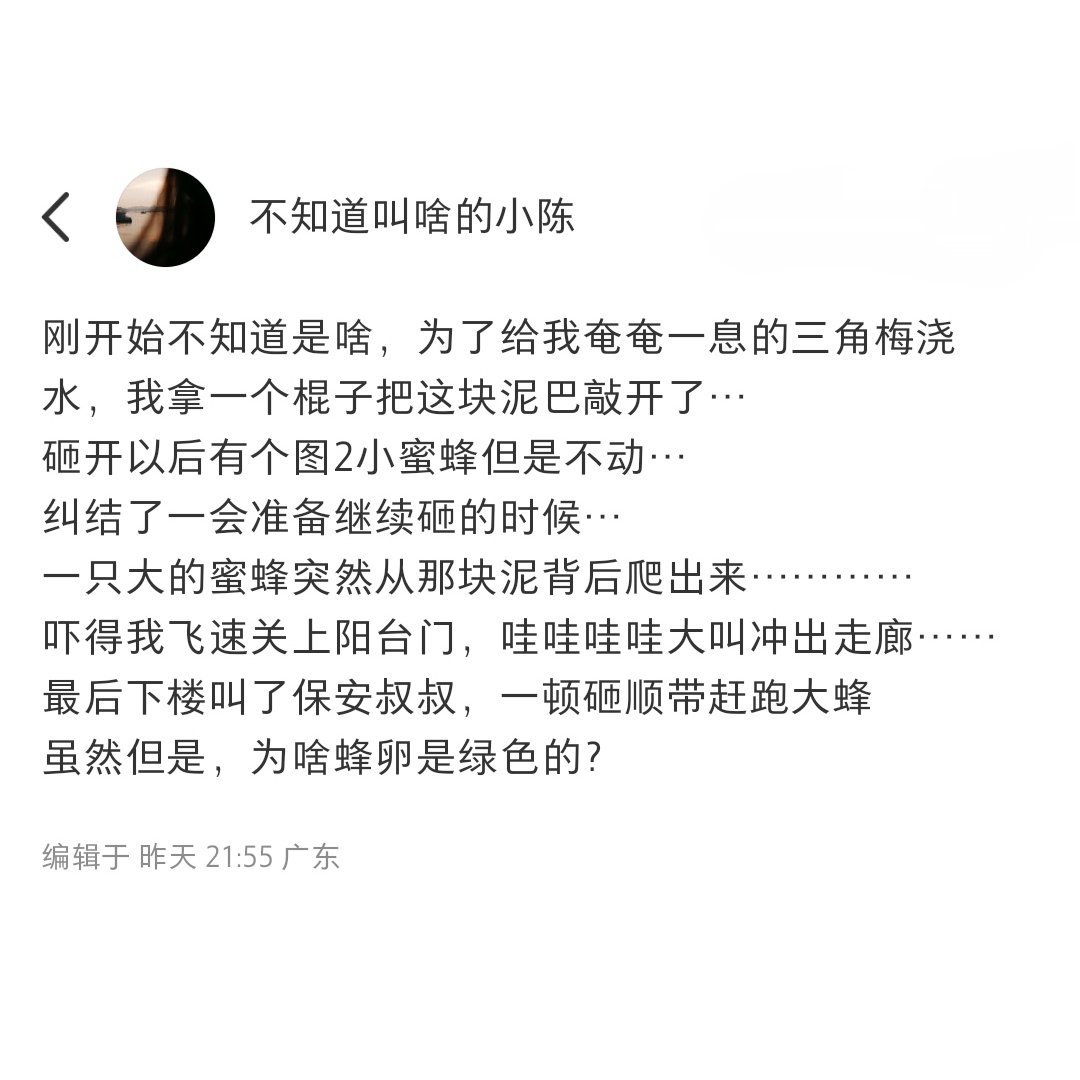 放假回来家里多了个蜂窝[裂开] ​​​