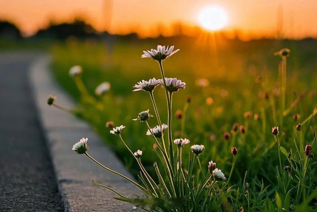 不必等风来，也不必盼人归。难过时就蹲下来抱抱自己，迷茫时就静下来梳理心绪，自渡的