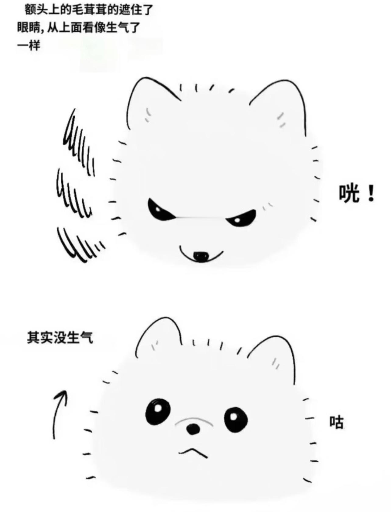 对 
