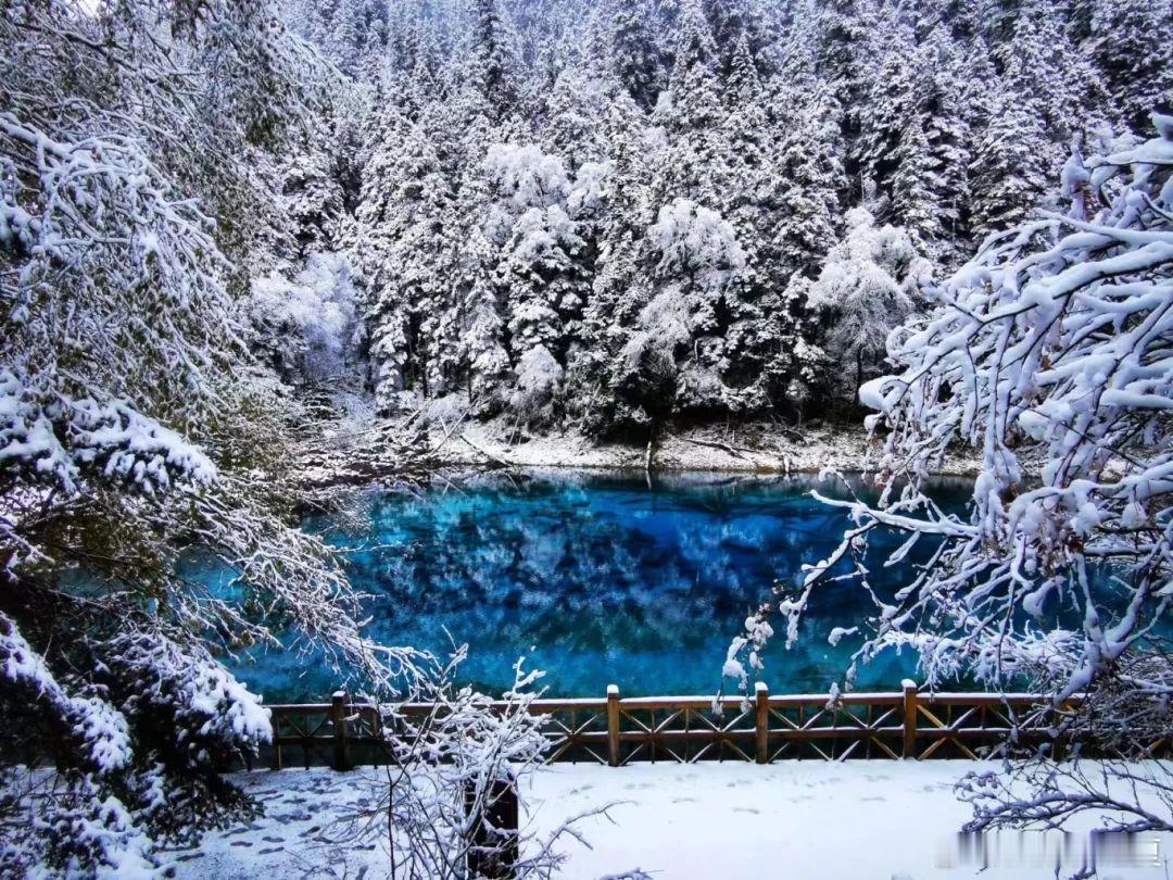 在九寨沟，邂逅一场飞雪飘飘的浪漫，漫天飞雪的倾城时光，白了天地，晶莹了世界，美醉