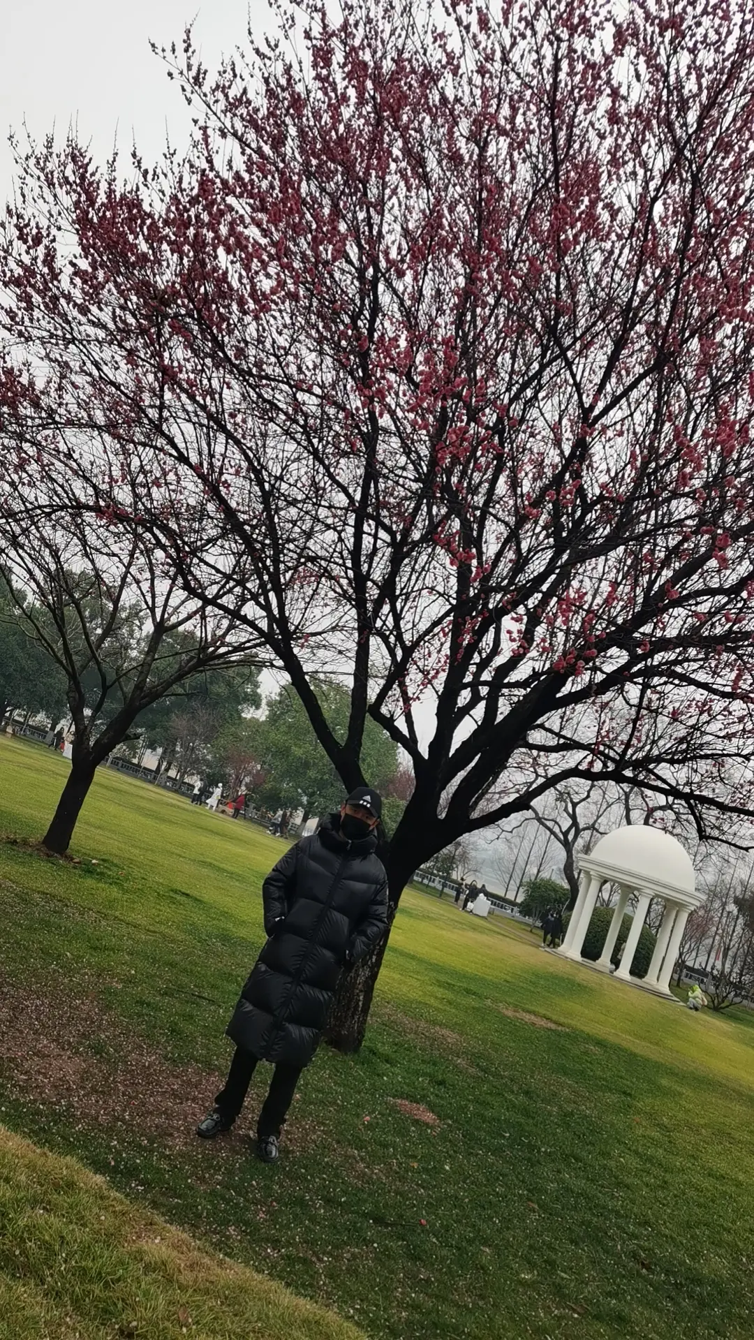 弟弟开心的样子