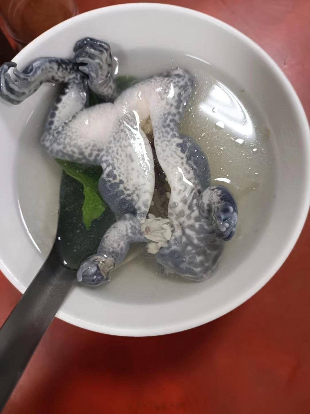 这种美食你敢吃吗[doge] 