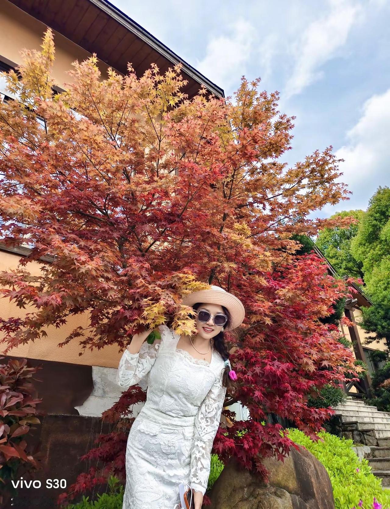 放下锅盆，放下疲惫，放飞自我，奔赴九仙，寻花问柳踏青去，自有蝶飞扑面来。满眼柔情