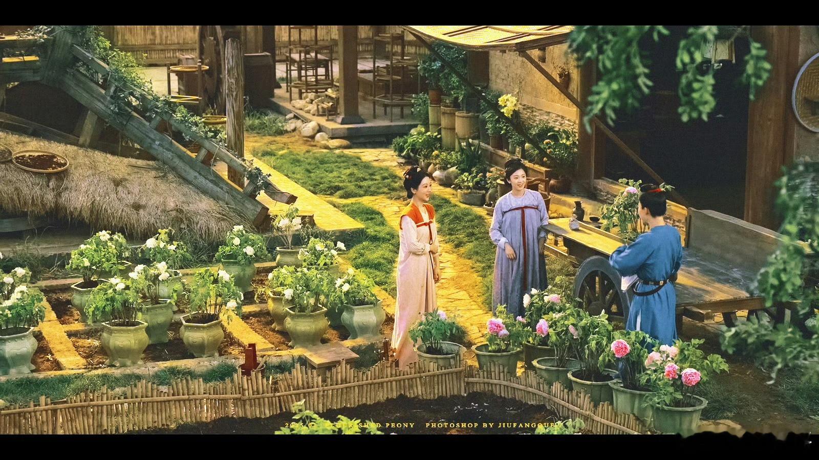 国色芳华中的牡丹有多火 看了《国色芳华》后，菏泽、洛阳的牡丹热度爆棚。牡丹本就承
