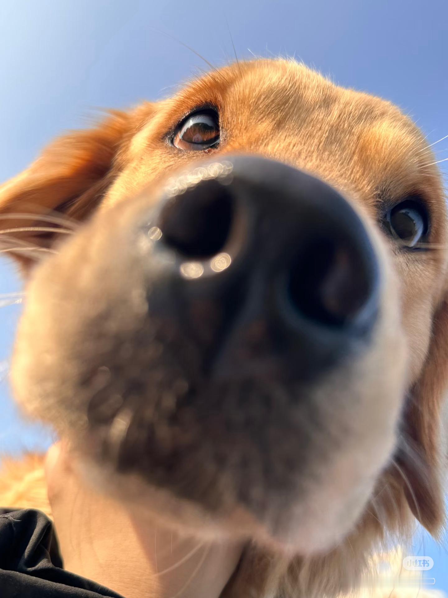 体育健身会影响到工作吗 会不会影响先不说，但是当你爱上了某种体育运动或者说健身，