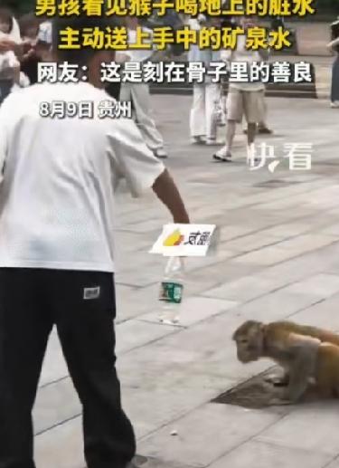 谁家孩子？景区里又上演“人间小剧场”。小男孩看小猴子喝地上的脏水，心疼得不行。把