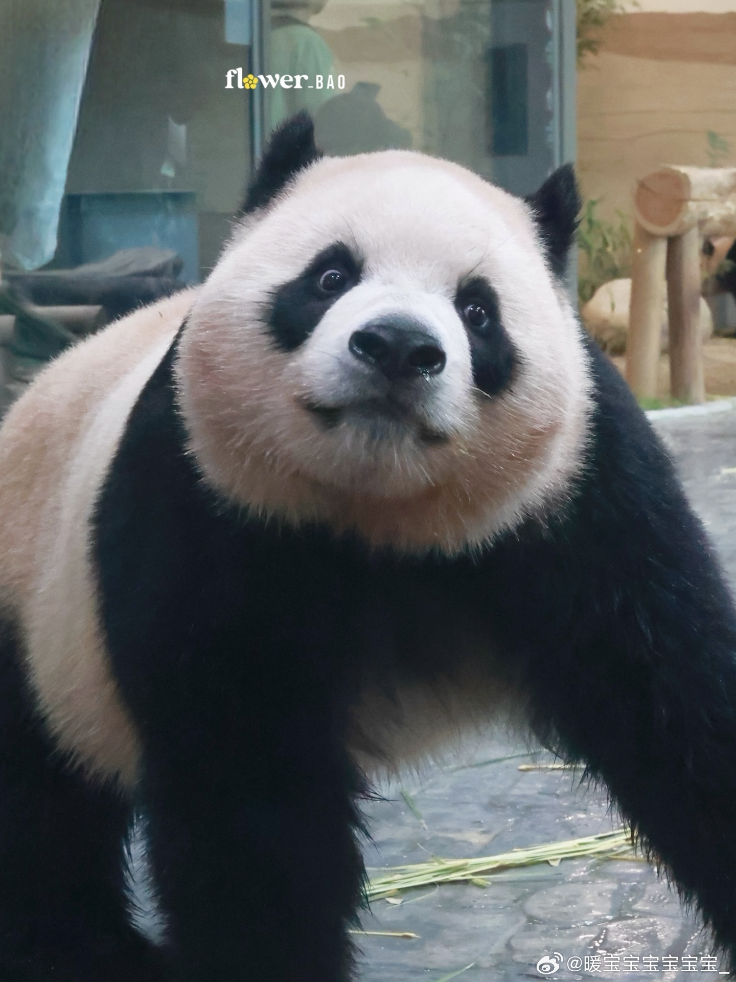每天早起打卡早上好～ 