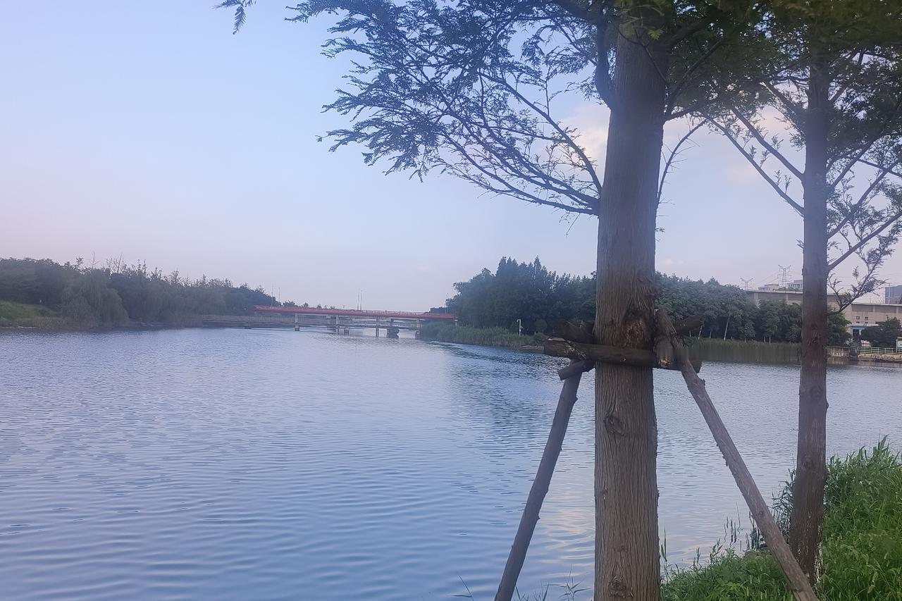 为什么深爱一个人，狠心不联系？是不想联系，而是感受不到他的爱和关心。

所以才忍