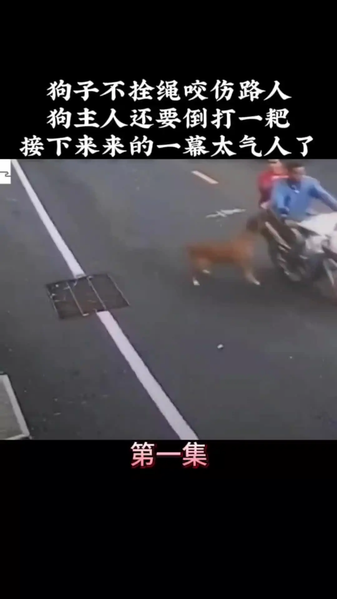 我的观影报告 内容启发搜索