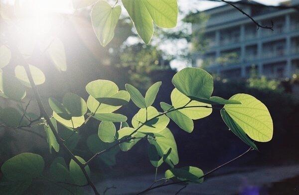 造一艘船，养一条狗，点一堆火，守一片云。日子当如此浪费，才不算浪费。生活手记