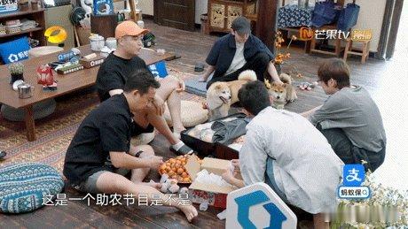 传下去！蘑菇屋喜迎新婚嘉宾 婚后综艺首秀来袭～ 揣着满盒喜糖挨个分享甜蜜，眉眼间