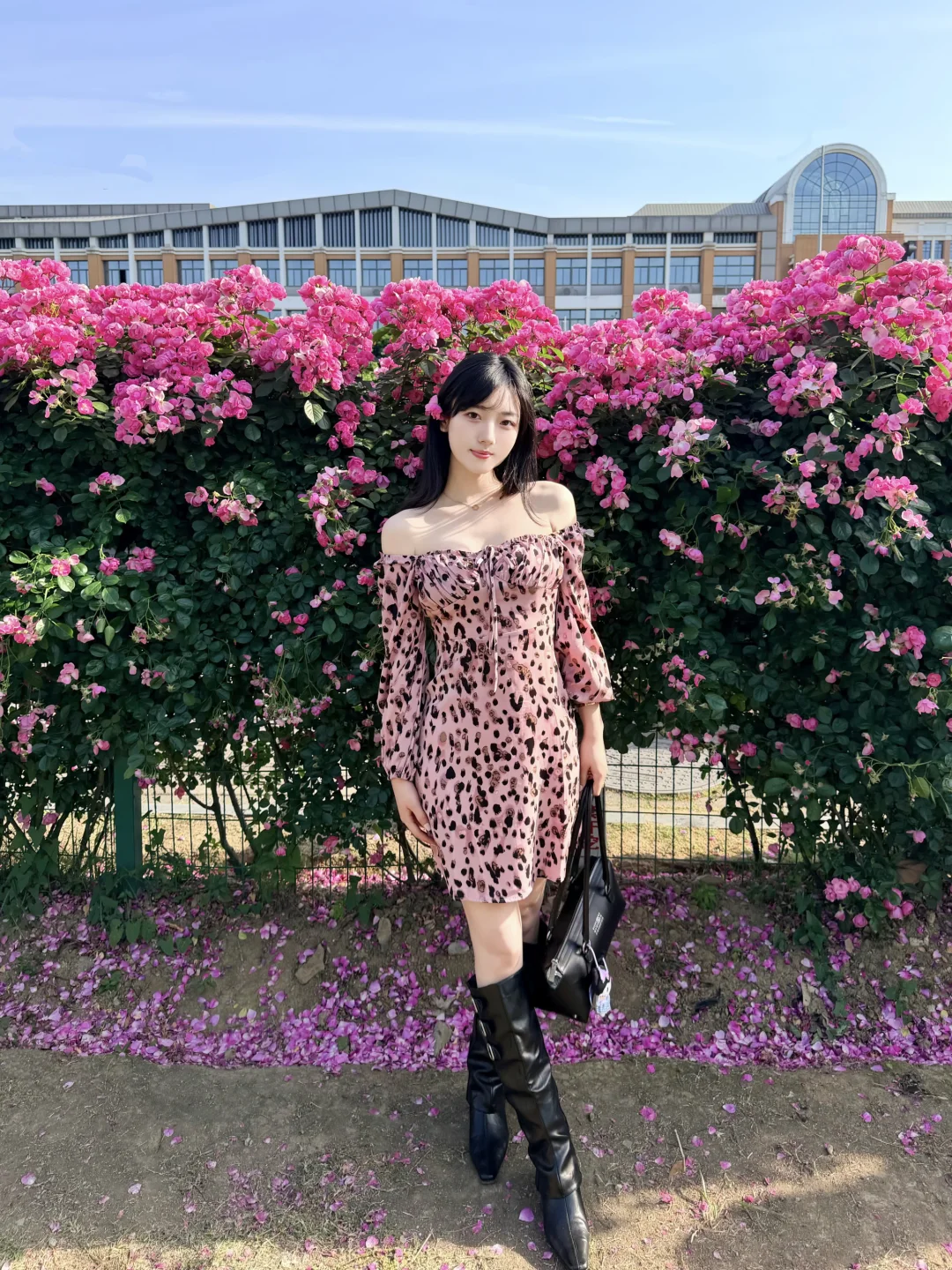 花开红艳艳🌸
