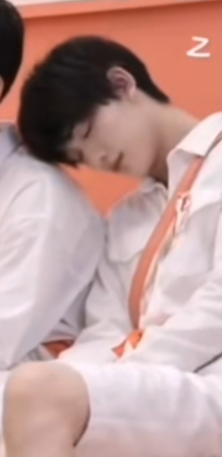 我的身上什么时候才能有一只丁猫猫！ 