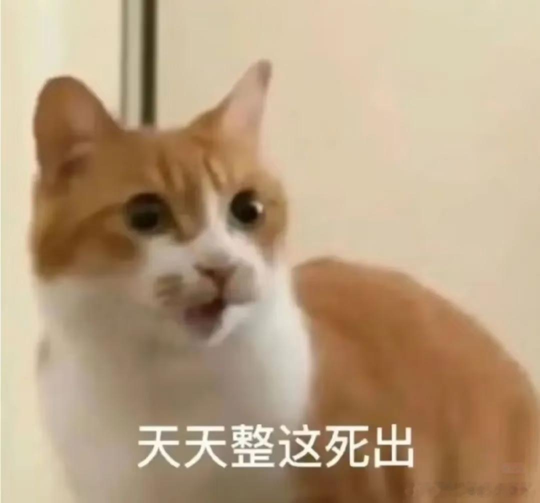 入坑以后姐就“从良”了，脾气好的都怀疑人生了！有些人真是脸给的太多了，天天给她自