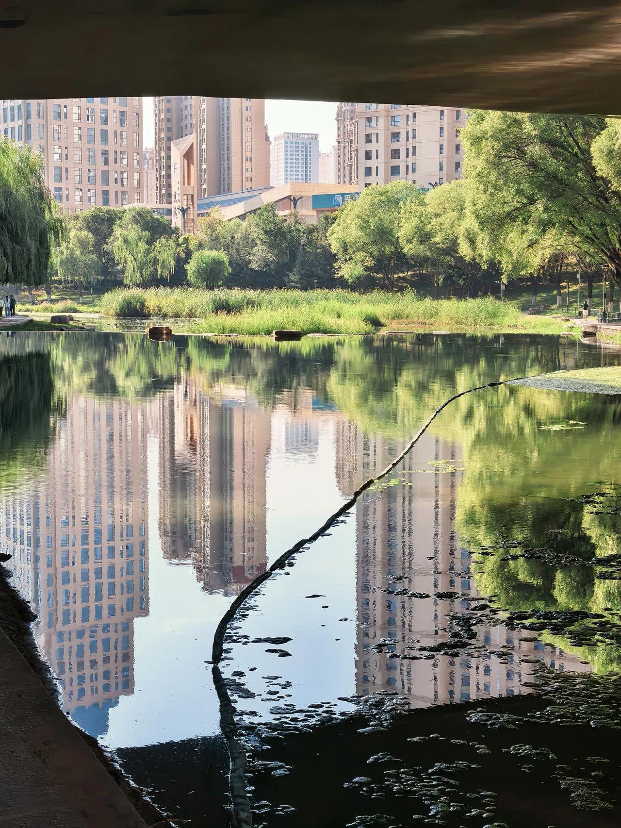 桥洞下的秋景，别有一番风味。