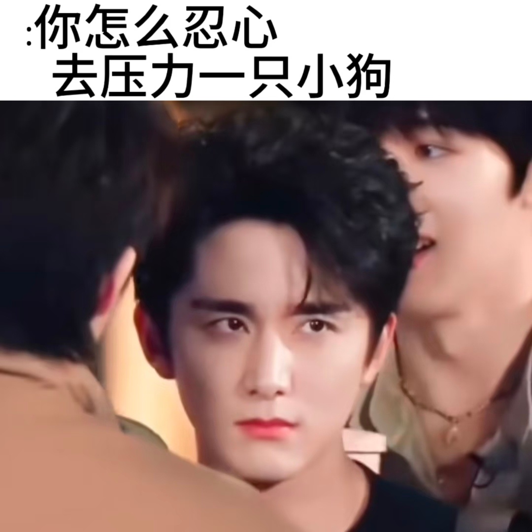 我只是一个爱着脆脆的普通用户𖦹   ̫×张新成etj偏嬷˙₊Ი𐑼⋆一切以张新