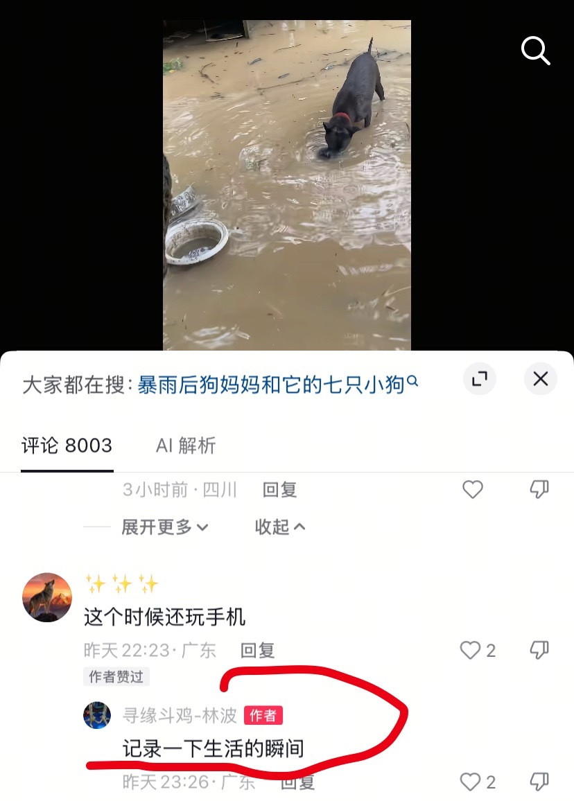有时候真觉得这种不管发生什么急事、要命的事不先解决事情而且拿手机拍拍拍拍的人是不