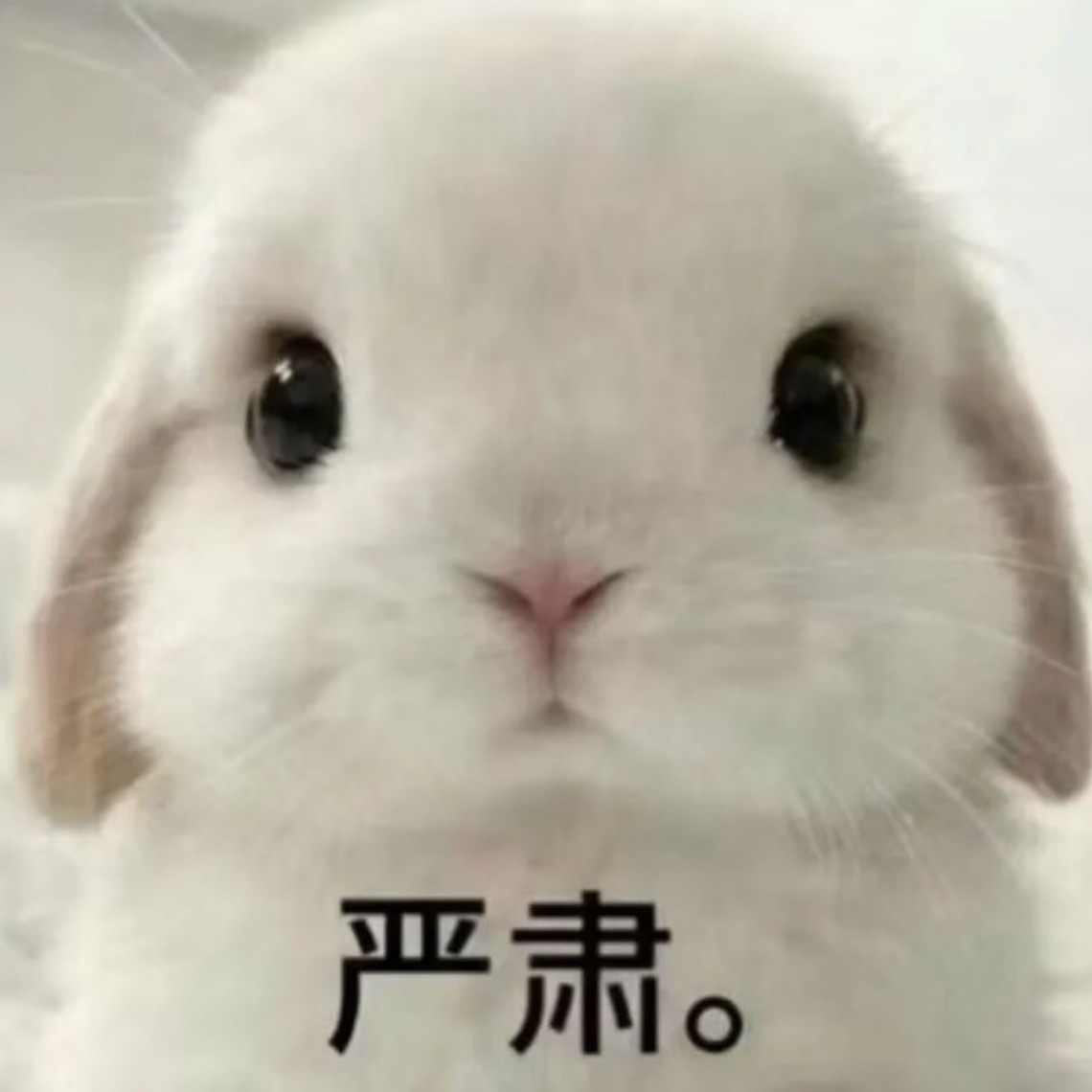 曝90生与著名谋女郎谈恋爱恭喜这对旧人 