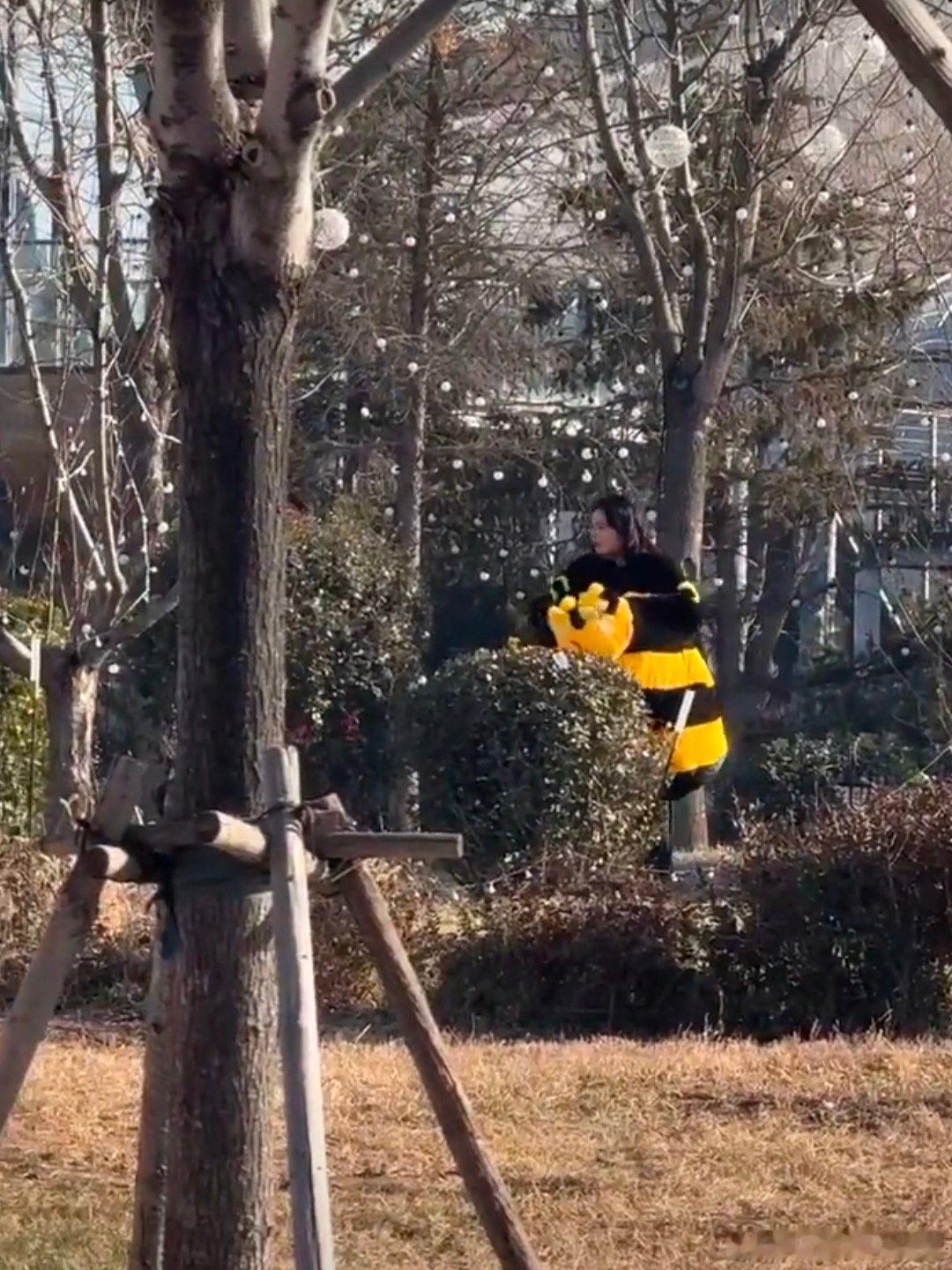 魏大勋帮高叶拉拉链周五晚高疯 有人穿蜜蜂服负责搞笑，魏大勋穿蜜蜂服负责暖心。路透