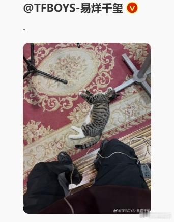 易烊千玺晒猫猫了~ 
