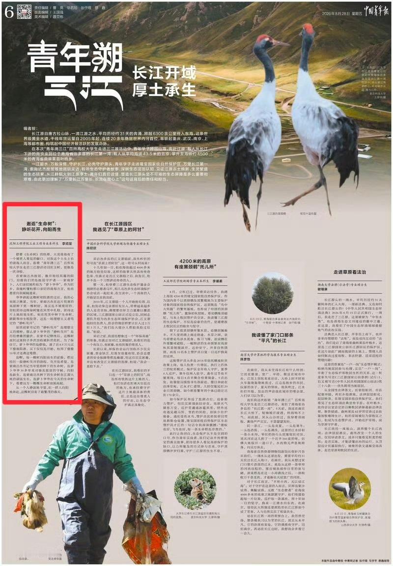 杨紫[超话] 中国青年报今日三江特刊版面新闻：邂逅“生命树”：静听花开，向阳而生