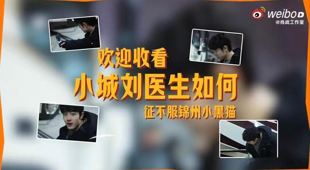 肖战刘铮亮喵语大师锦州黑猫警长不理牌子猫肖战肖战解锁新身份刘铮亮喵语大师，对着锦